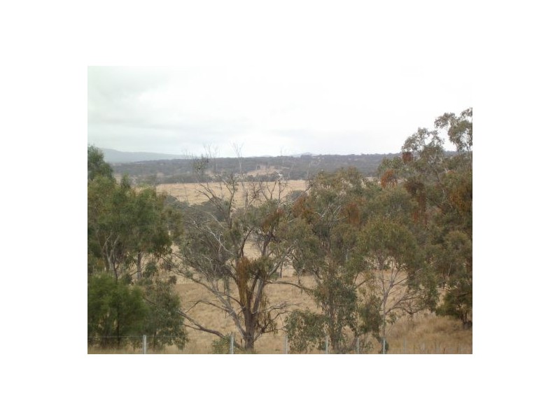 Lot 28 Bruxner Hwy, Tenterfield NSW 2372