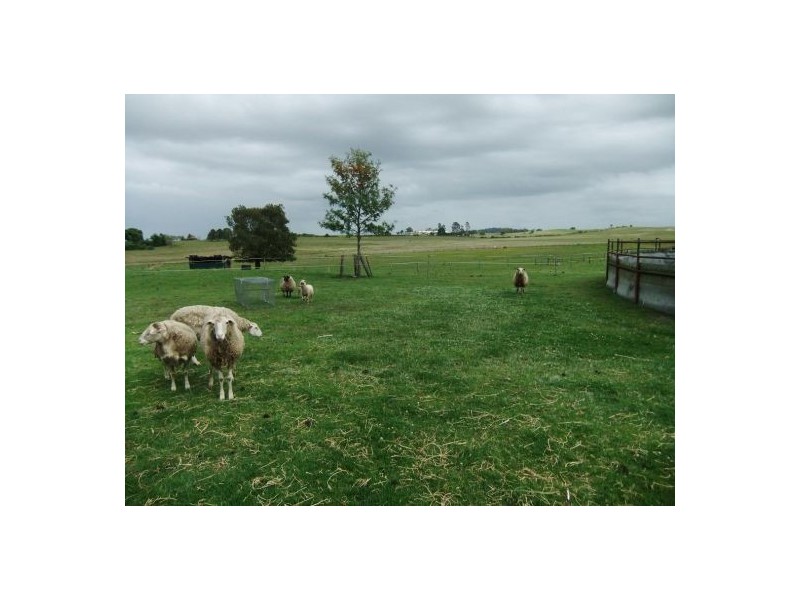 1365 Bruxner Highway, Mckees Hill NSW 2480