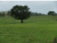 1365 Bruxner Highway, Mckees Hill NSW 2480