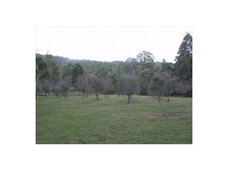 572 Old Lawance Road, Mallanganee NSW 2469