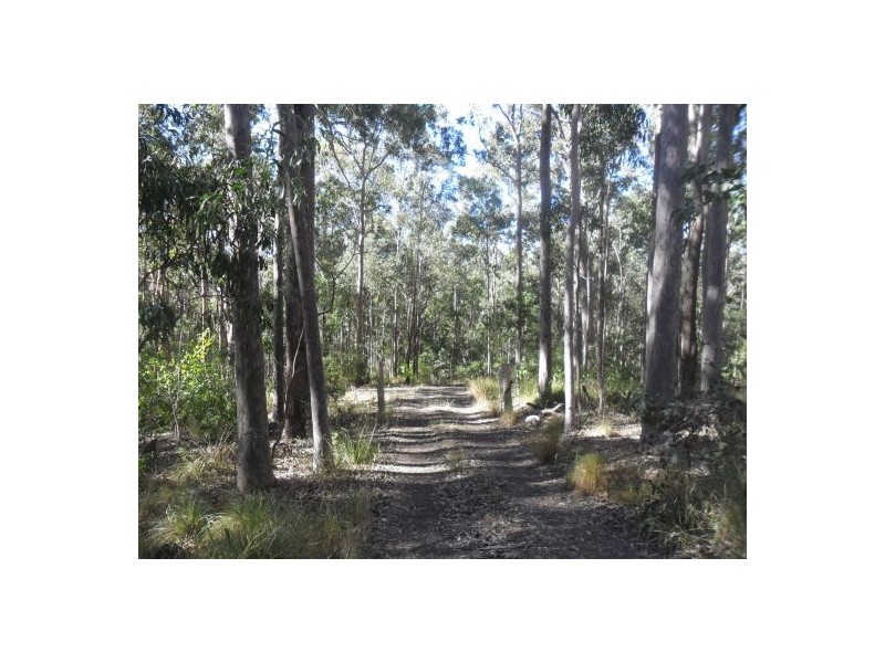 572 Old Lawance Road, Mallanganee NSW 2469