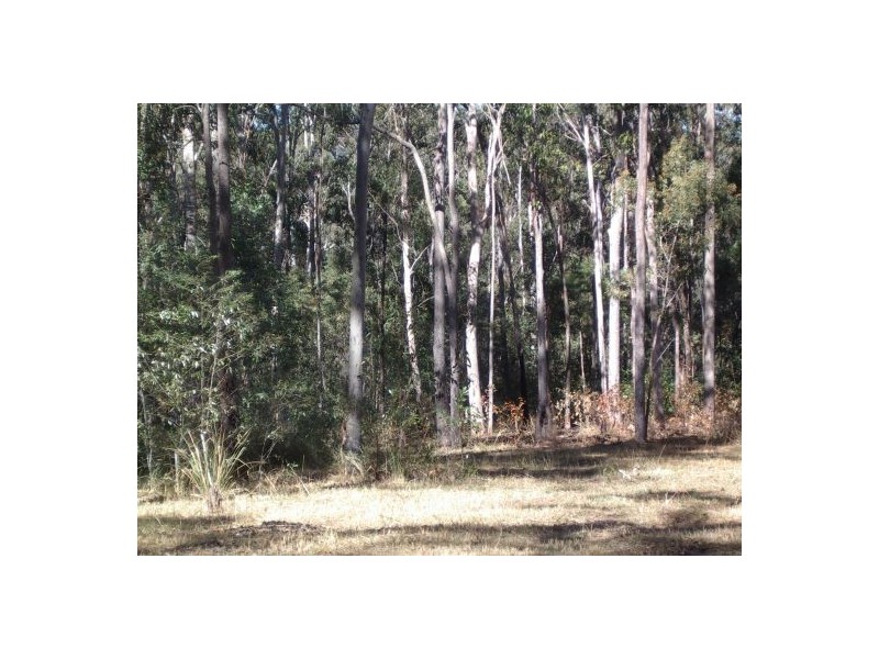 Tabulam NSW 2469