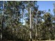 Tabulam NSW 2469
