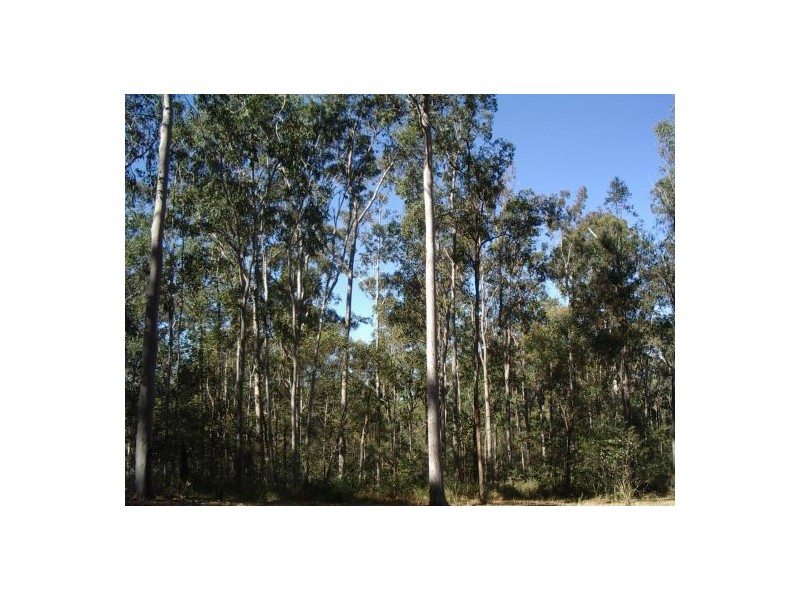 Tabulam NSW 2469
