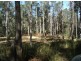 Tabulam NSW 2469