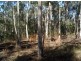 Tabulam NSW 2469