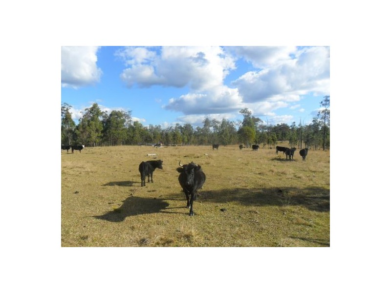 3533 Summerland way, Grafton NSW 2460