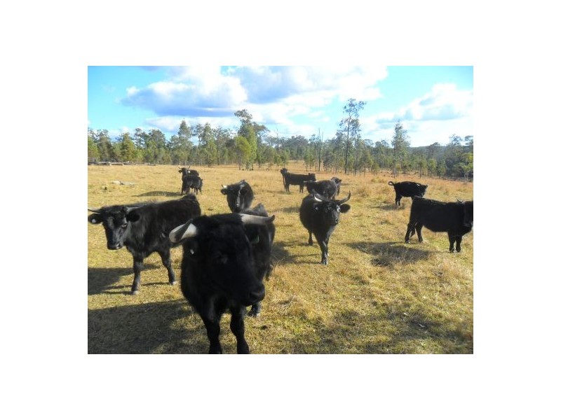 3533 Summerland way, Grafton NSW 2460