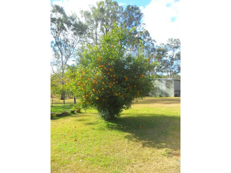 3533 Summerland way, Grafton NSW 2460