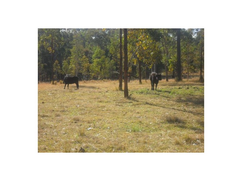 3533 Summerland way, Grafton NSW 2460