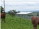 Homeleigh NSW 2474