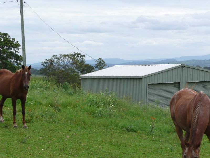Homeleigh NSW 2474