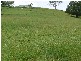 Homeleigh NSW 2474
