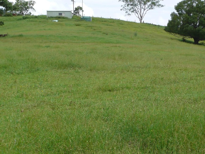 Homeleigh NSW 2474