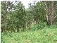 Homeleigh NSW 2474