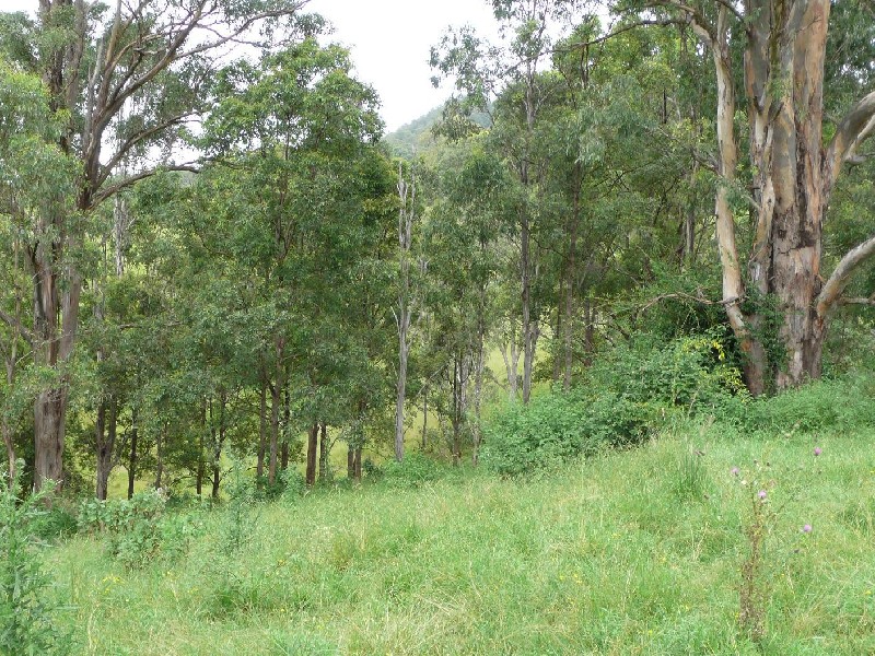Homeleigh NSW 2474