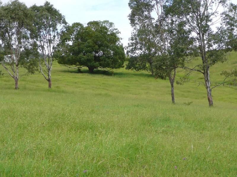 Homeleigh NSW 2474