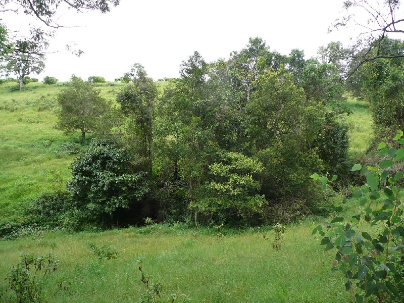 Homeleigh NSW 2474