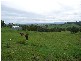 Homeleigh NSW 2474
