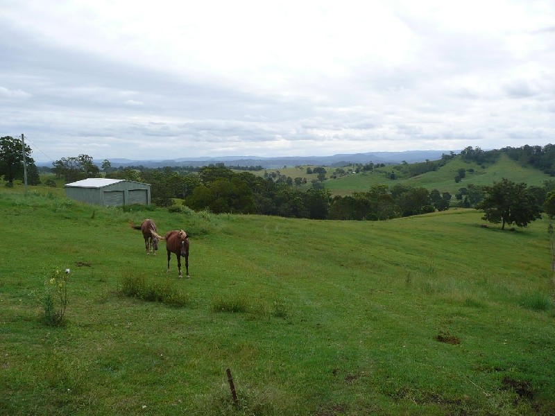 Homeleigh NSW 2474