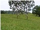 Homeleigh NSW 2474