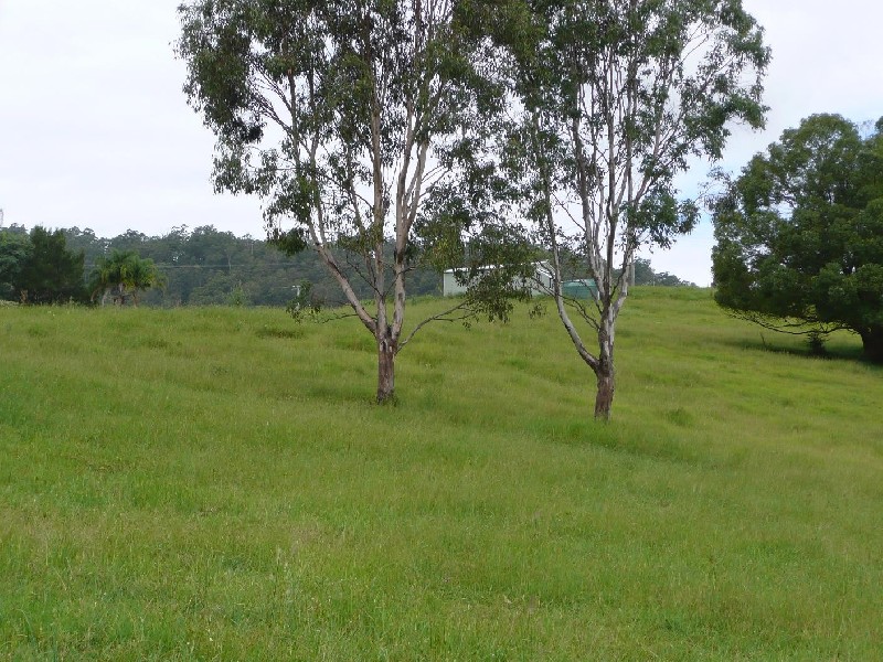 Homeleigh NSW 2474
