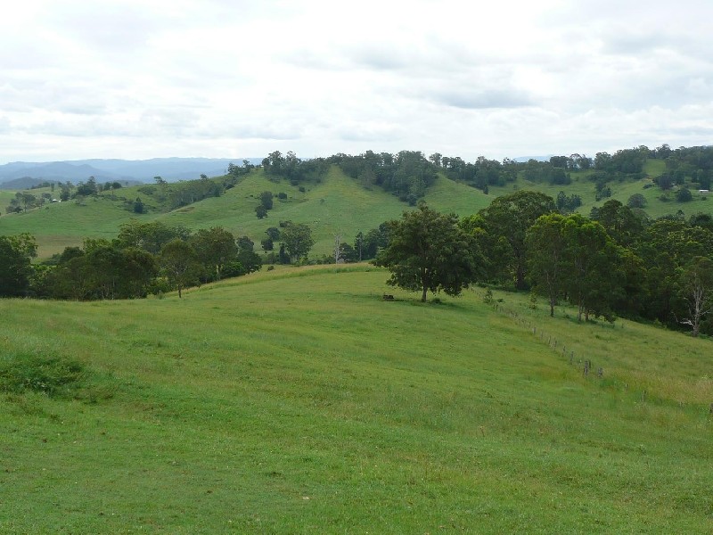 Homeleigh NSW 2474