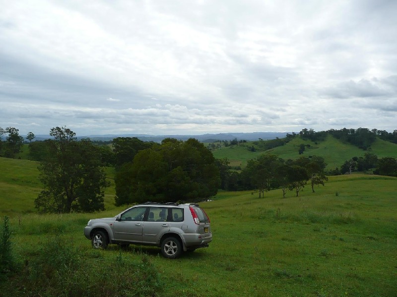 Homeleigh NSW 2474