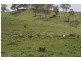 Lot 571 Afterlee Road, Kyogle NSW 2474