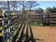 445 Cosy Camp Rd, Lismore NSW 2480