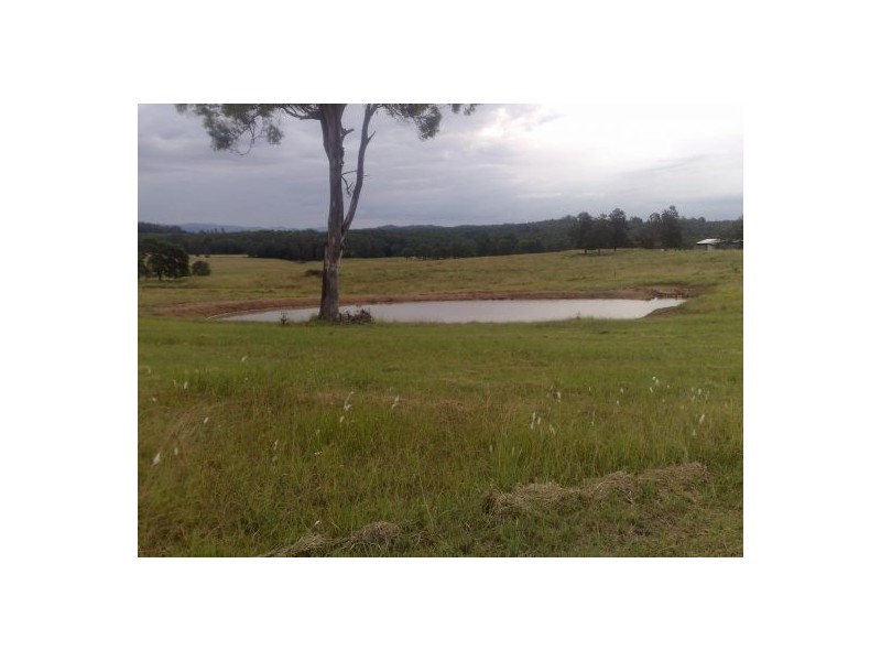 283 Bottle Creek Rd, Tabulam NSW 2469