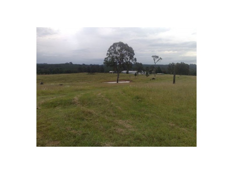 283 Bottle Creek Rd, Tabulam NSW 2469