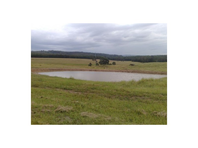 283 Bottle Creek Rd, Tabulam NSW 2469