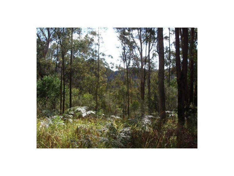 Lot 243 Blaxlands Creek Rd, Grafton NSW 2460