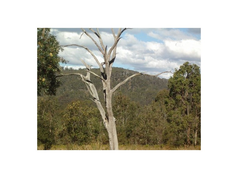 Lot 243 Blaxlands Creek Rd, Grafton NSW 2460