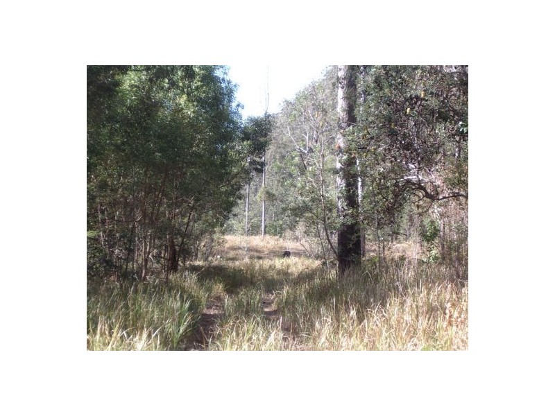 Lot 243 Blaxlands Creek Rd, Grafton NSW 2460