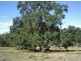 Lot 243 Blaxlands Creek Rd, Grafton NSW 2460