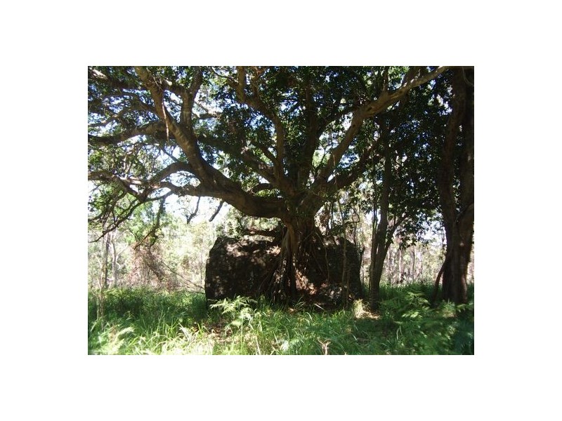 Lot 243 Blaxlands Creek Rd, Grafton NSW 2460