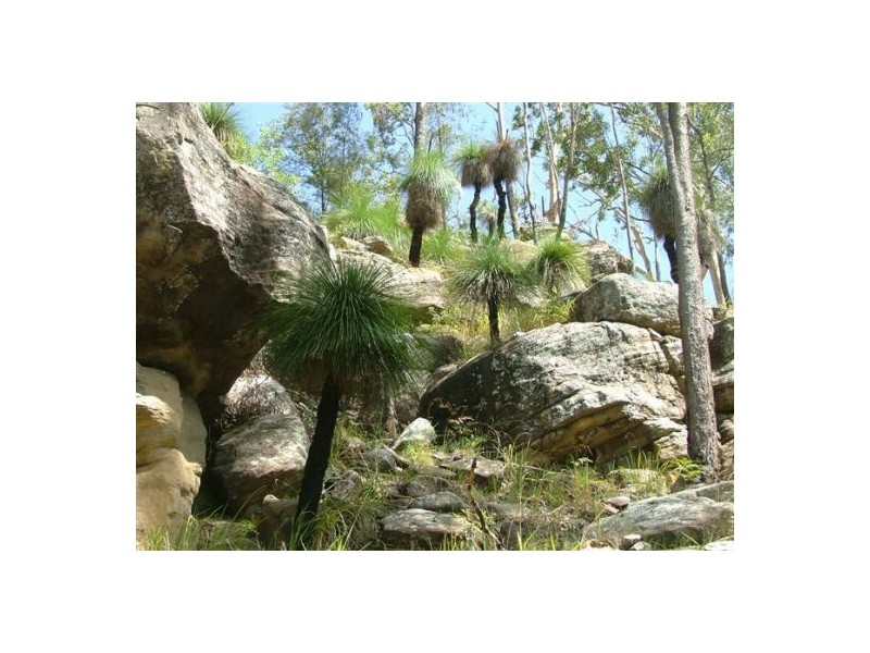 Lot 243 Blaxlands Creek Rd, Grafton NSW 2460