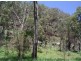 Lot 243 Blaxlands Creek Rd, Grafton NSW 2460