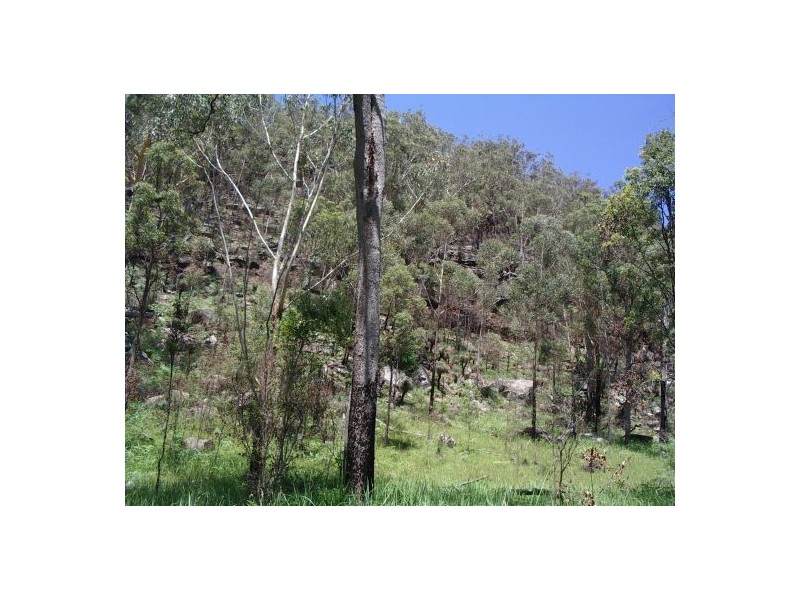 Lot 243 Blaxlands Creek Rd, Grafton NSW 2460