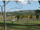 Lismore NSW 2480