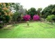52 Kyogle Road, Kyogle NSW 2474