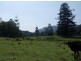 Lot 1/153 O’Neill Road via Bentley, Lismore NSW 2480