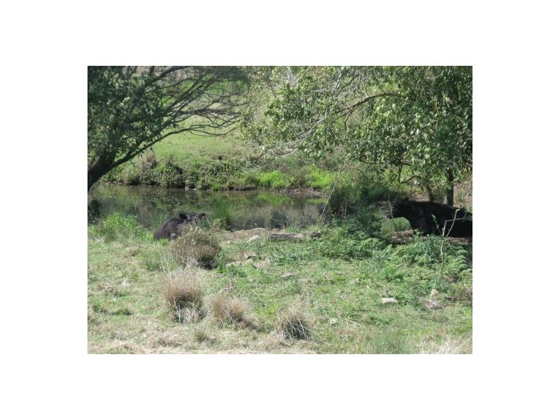 Lot 1/153 O’Neill Road via Bentley, Lismore NSW 2480