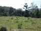 Lot 1/153 O’Neill Road via Bentley, Lismore NSW 2480