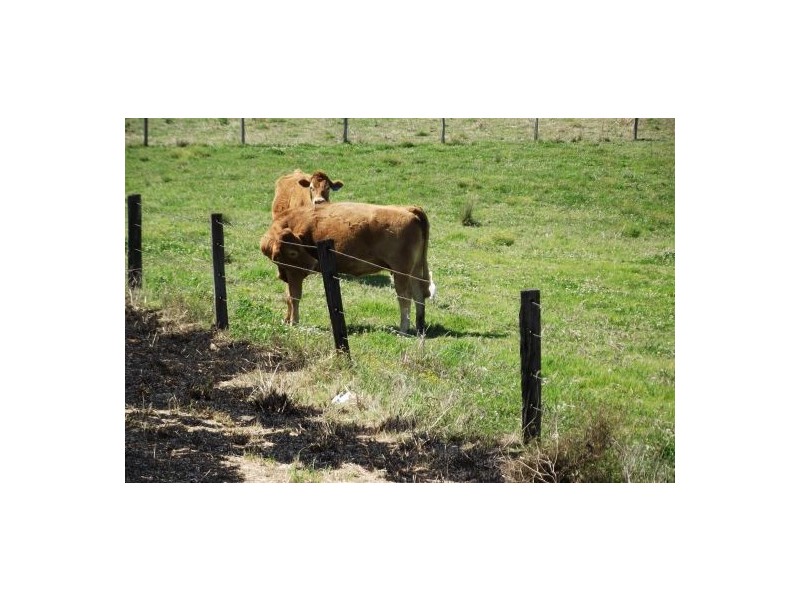 101 Homestead Road, KILGRA via, Kyogle NSW 2474