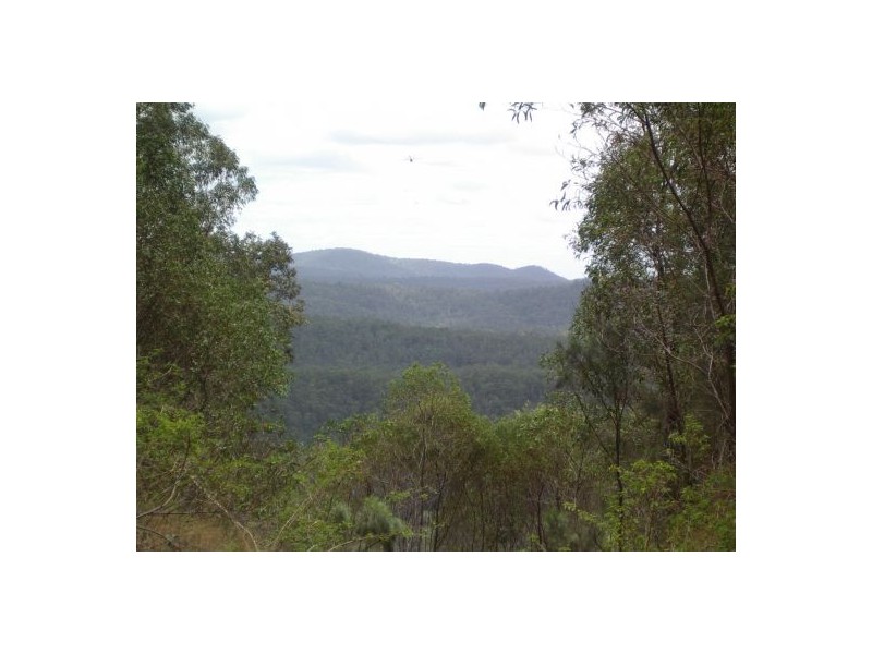 82 Grandview Rd, Tabulam NSW 2469