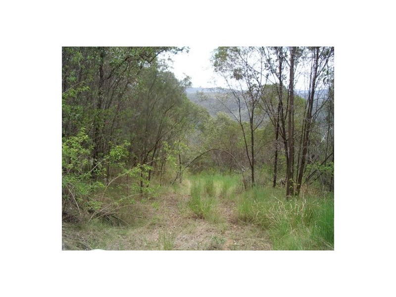 82 Grandview Rd, Tabulam NSW 2469