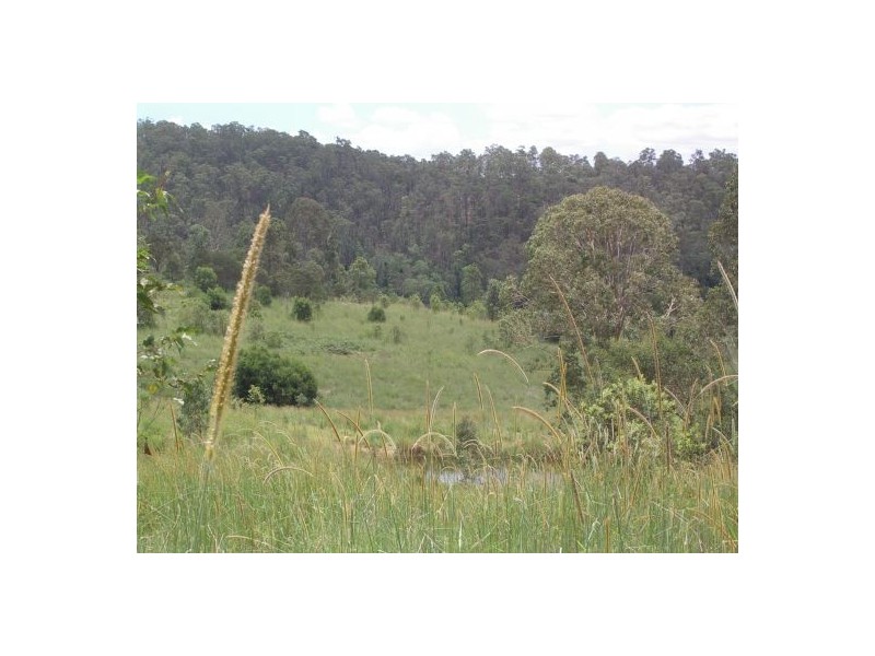 82 Grandview Rd, Tabulam NSW 2469